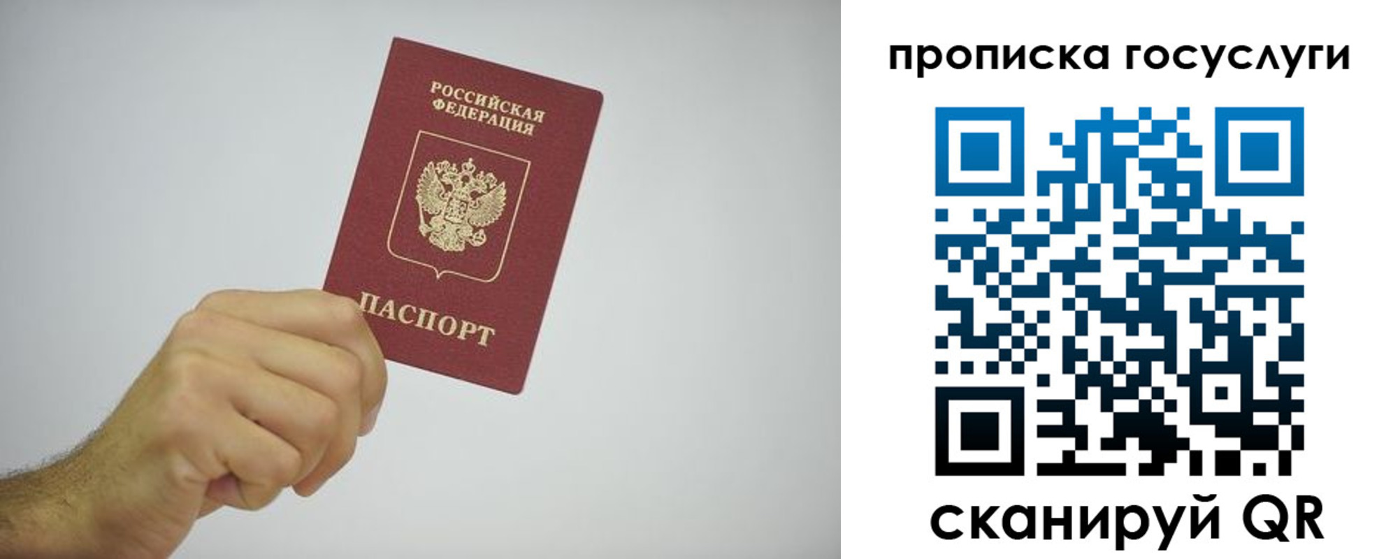 прописка законно в Брянской области